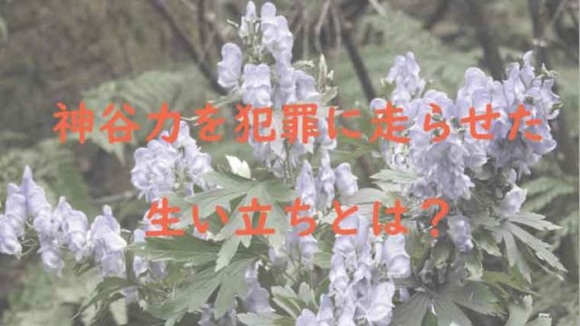 山本誠刑事が呼吸器外し冤罪事件の取調べ滋賀県警察官 なぜ退職せず出世し刑事課長に Kaznaoのエントピ