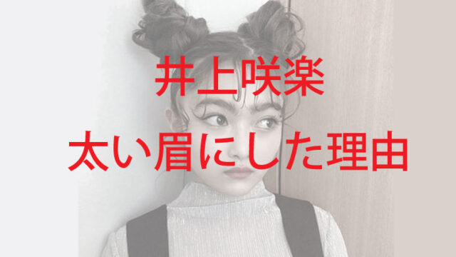 井上咲楽はなぜ太眉だった 人気だった理由とカット後の評判は可愛くなった Kaznaoのエントピ